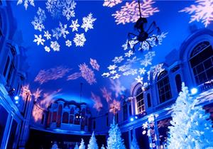 The Enchanted Forest Christmas Parties 2023, Milton Keynes (Exclusive)